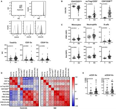 Relationship Between T-Cell Exosomes and Cellular Subsets in SLE According to Type I IFN-Signaling